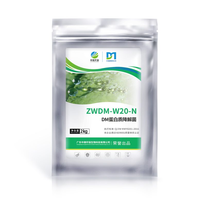 蛋白降解专用菌